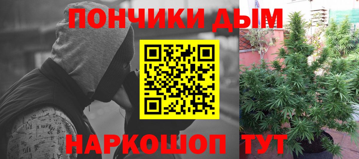Тосно  Бошки Шишки White Widow  Вход с VPN  Марихуана Bruce Banner  Шишки марихуана OG Kush 